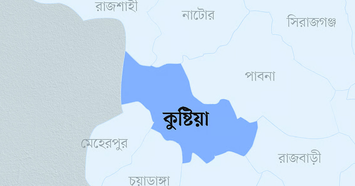 কুষ্টিয়ার দৌলতপুরে পূর্ব শত্রুতার জেরে গোলাগুলি, গুলিবিদ্ধ ৩