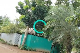 ত্রিশালে বৈধ জমিতে বসতবাড়ি নির্মাণের পরও সীমানা নিয়ে বিরোধ, নিরাপত্তাহীনতায় পরিবার
