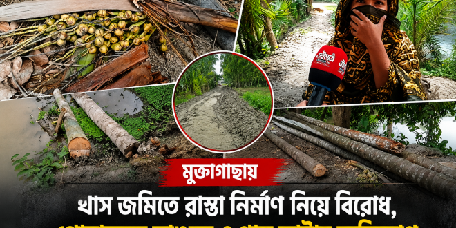 মুক্তাগাছায় খাস জমিতে রাস্তা নির্মাণ নিয়ে বিরোধ, গোয়ালঘর ভাঙচুর ও গাছ কাটার অভিযোগ