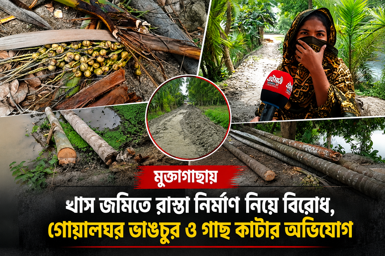 মুক্তাগাছায় খাস জমিতে রাস্তা নির্মাণ নিয়ে বিরোধ, গোয়ালঘর ভাঙচুর ও গাছ কাটার অভিযোগ